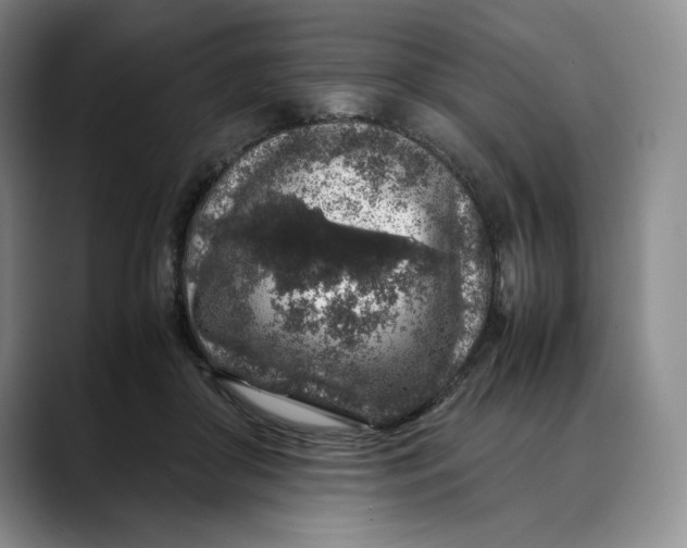 X0000088420410200706121436