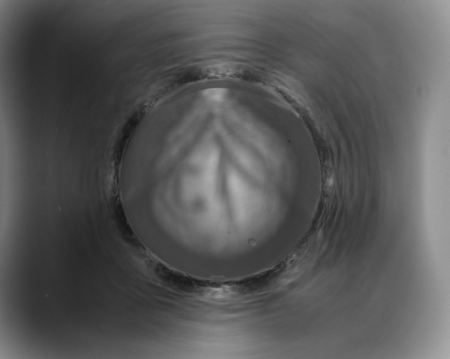 X0000088420411200706121436