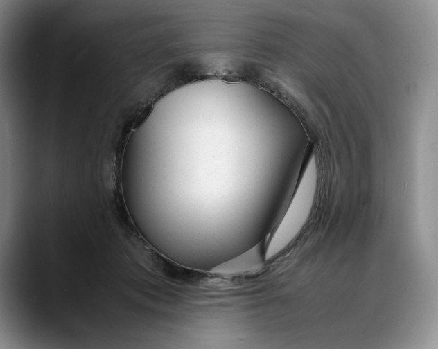 X0000088420413200706121436