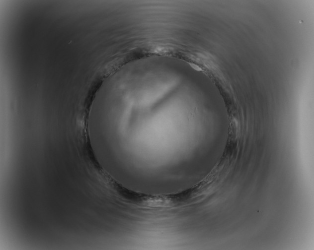 X0000088420415200706121436