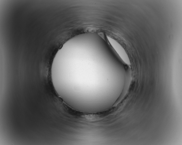 X0000088420417200706121436