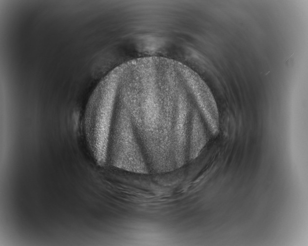 X0000088420420200706121436