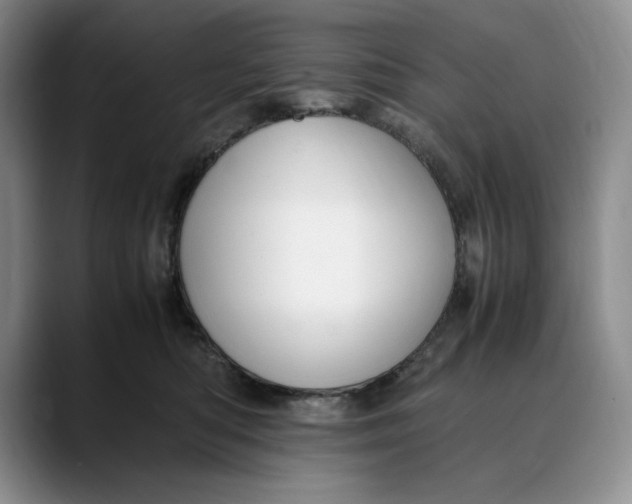 X0000088420422200706121436