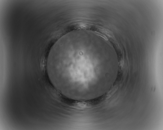 X0000088420423200706121436