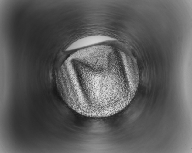 X0000088420424200706121436