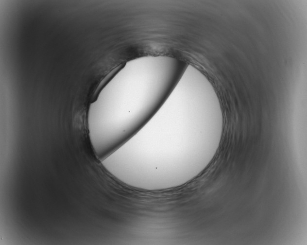 X0000088420425200706121436