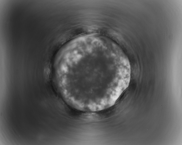 X0000088420427200706121436
