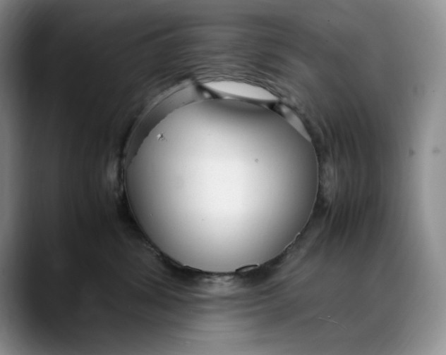 X0000088420428200706121436