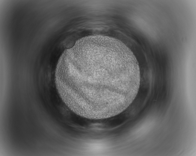 X0000088420430200706121436