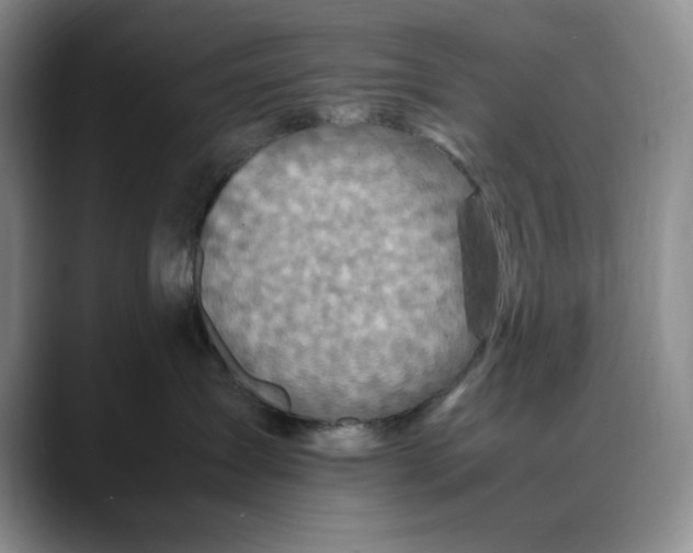 X0000088420431200706121436