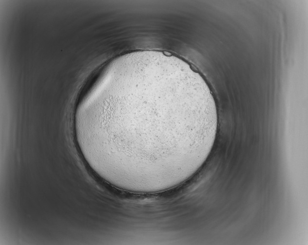 X0000088420433200706121435
