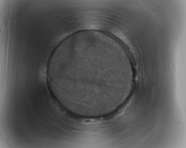 X0000088420434200706121435