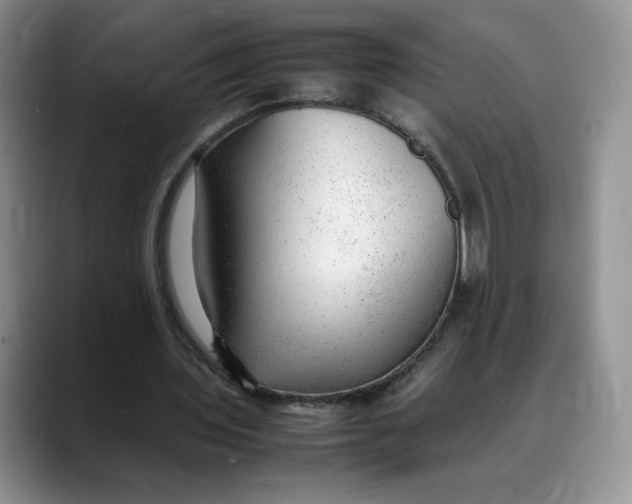 X0000088420435200706121435