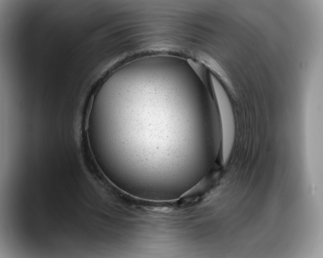 X0000088420436200706121435