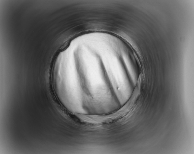 X0000088420437200706121435