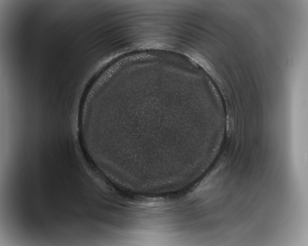 X0000088420438200706121435