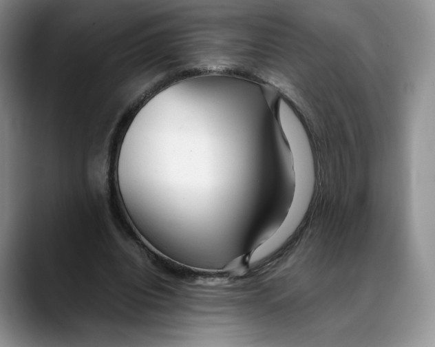 X0000088420440200706121435