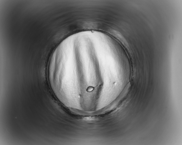 X0000088420441200706121435
