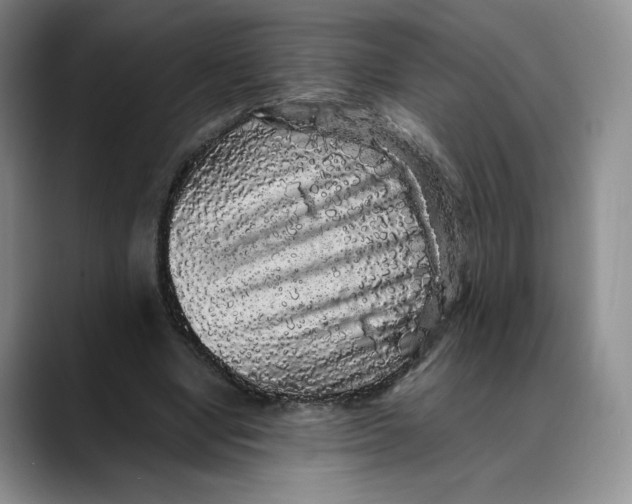 X0000088420442200706121435