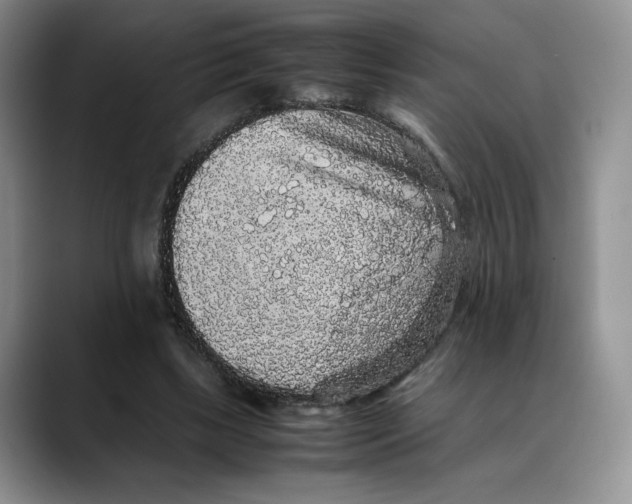 X0000088420443200706121435