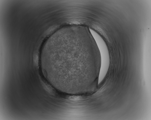 X0000088420444200706121435