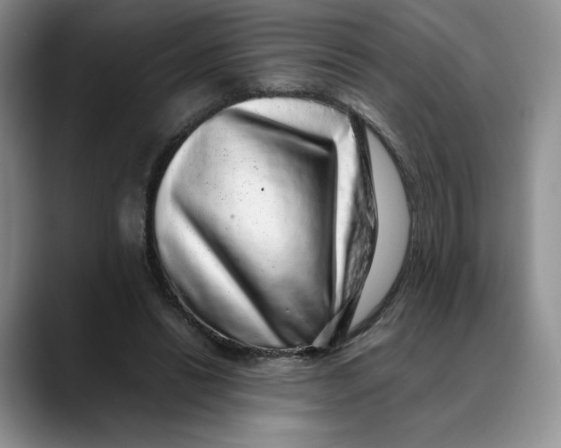 X0000088420446200706121435