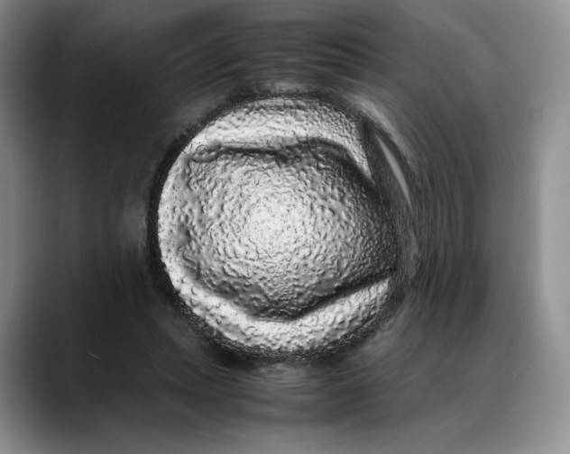 X0000088420447200706121435