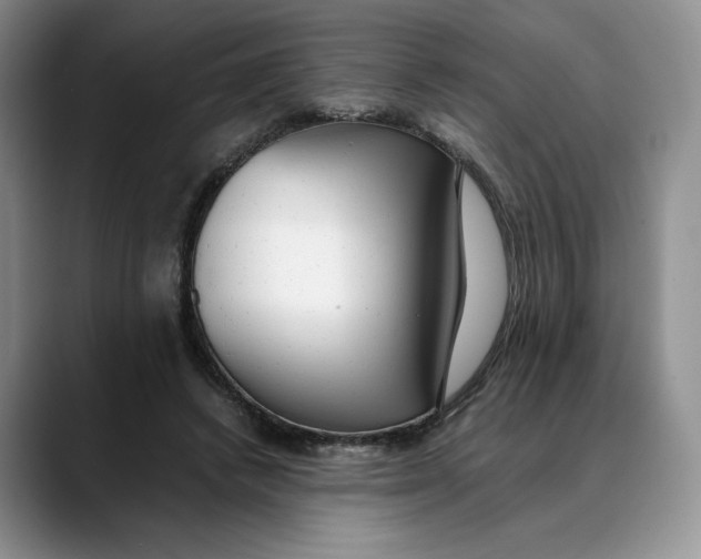 X0000088420448200706121435