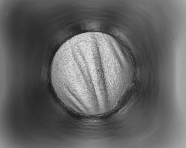 X0000088420449200706121435