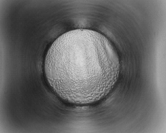 X0000088420450200706121435