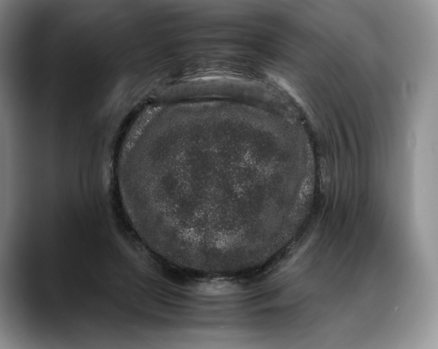 X0000088420451200706121435