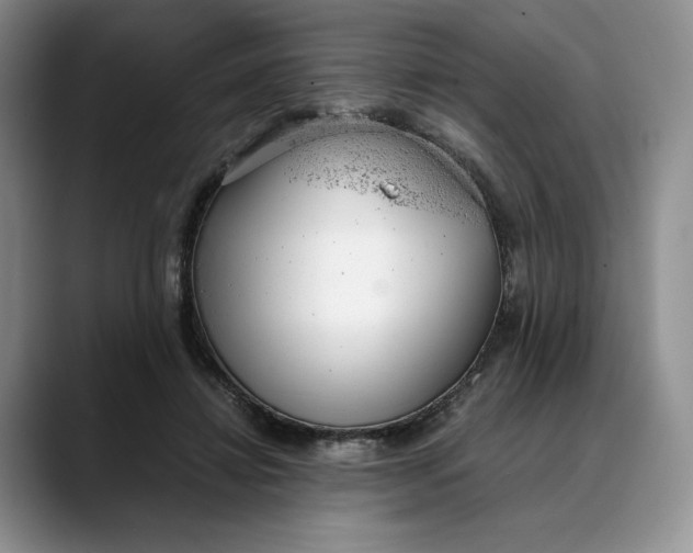 X0000088420452200706121435
