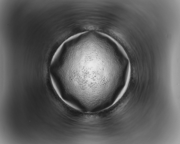 X0000088420453200706121435