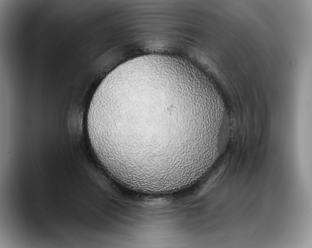 X0000088420454200706121435