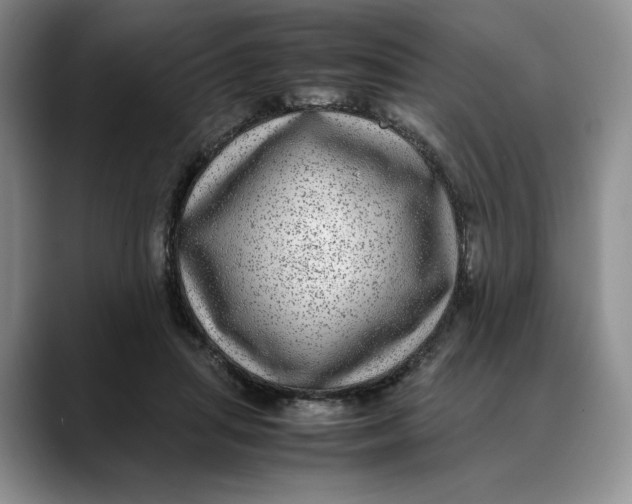 X0000088420455200706121435
