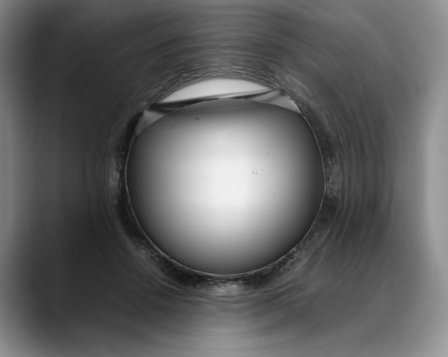 X0000088420456200706121435