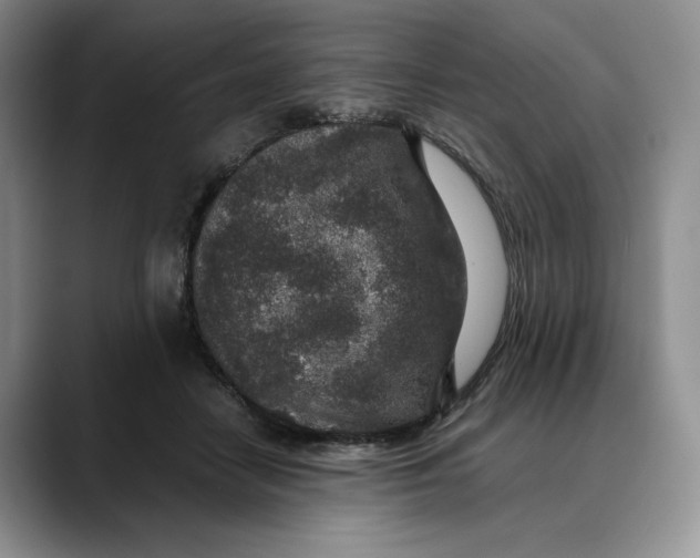 X0000088420458200706121435