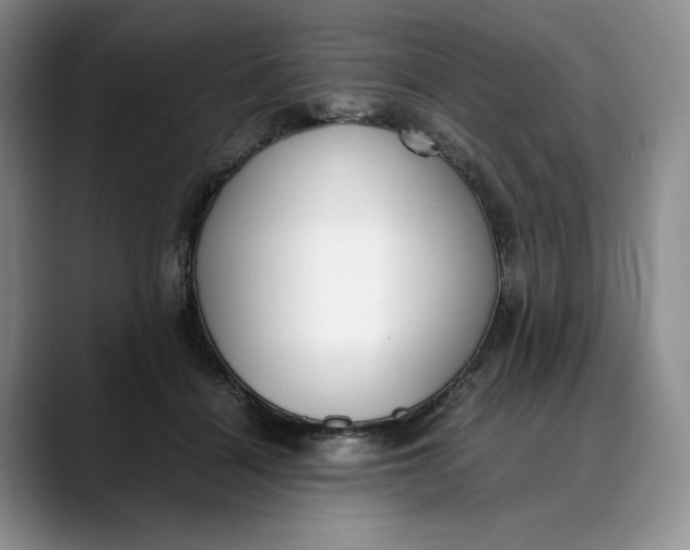 X0000088420460200706121435