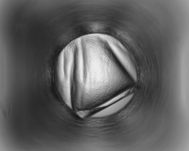 X0000088420461200706121435