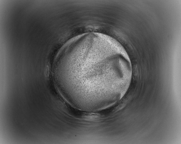 X0000088420463200706121435