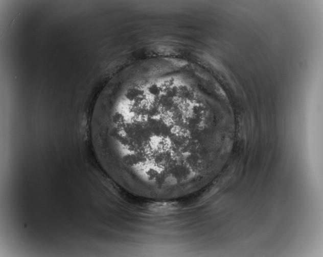 X0000088420465200706121435