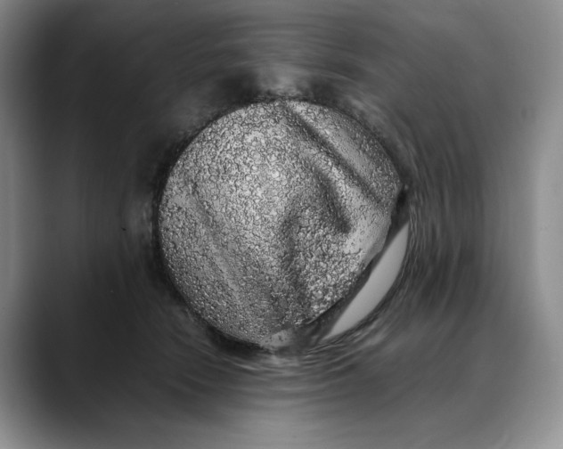 X0000088420466200706121435