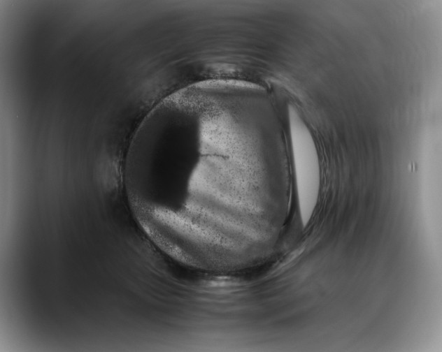 X0000088420467200706121435