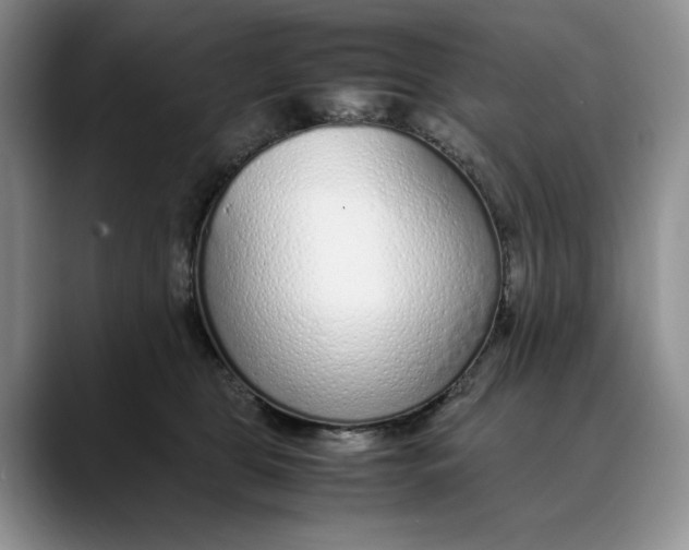 X0000088420469200706121436