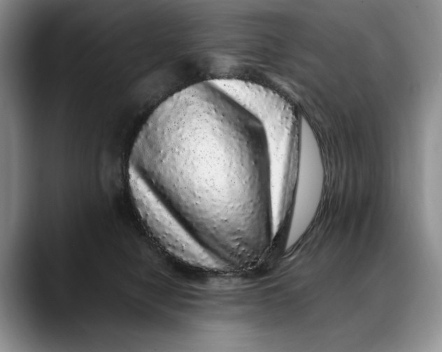 X0000088420470200706121436