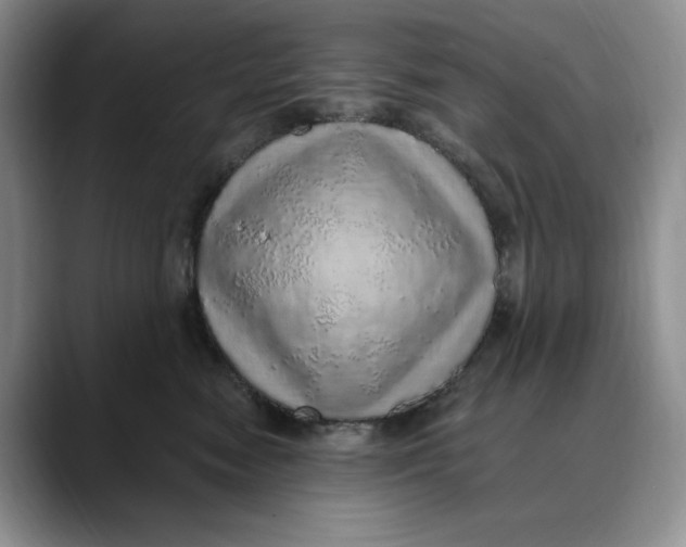 X0000088420474200706121436