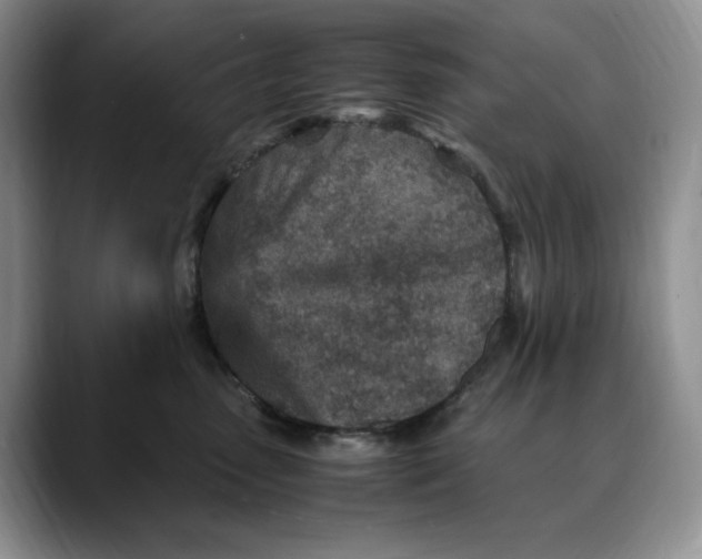 X0000088420475200706121436