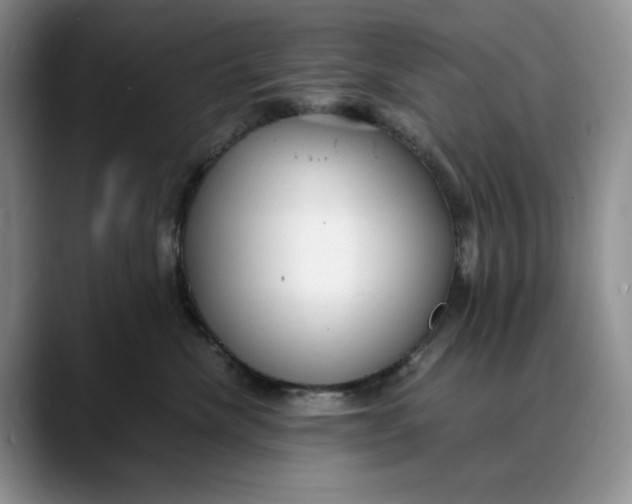 X0000088420476200706121436