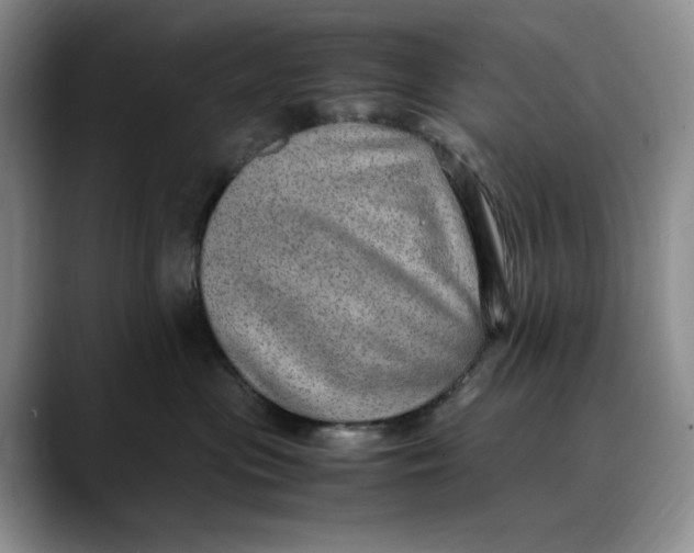 X0000088420477200706121436