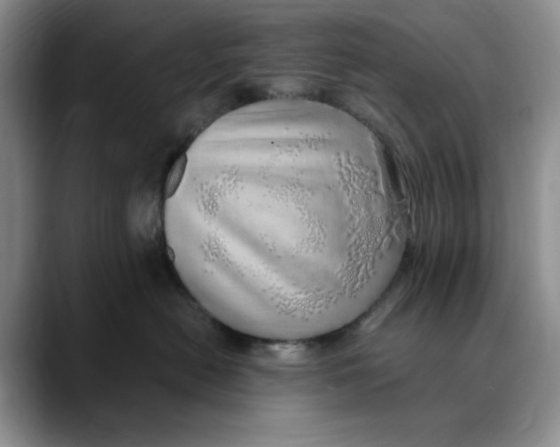 X0000088420478200706121436